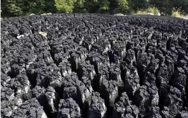 院士把脉西北地区污水处理 污泥资源化利用提升空间大
